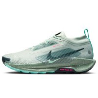 Nike Pegasus Trail 5 GORE-TEX (FQ0908-013)