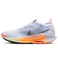 Nike Pegasus Trail 5 GORE-TEX (FQ0908-011)