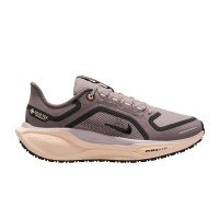 Nike Pegasus 41 GTX (FQ1357)