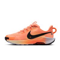 Nike Pegasus Trail 5 (FV5638-800)
