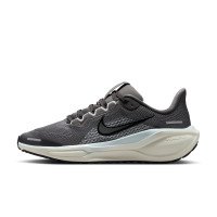 Nike Pegasus 41 (FN5041-201)