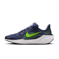 Nike Pegasus 41 (FN5041-501)