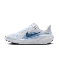 Nike Pegasus 41 (FN5041-110)