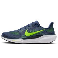 Nike Pegasus 41 (FD2722-501)