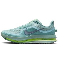 Nike Pegasus Premium (HQ2592-009)