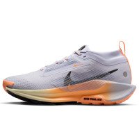 Nike Pegasus Trail 5 GORE-TEX (FQ0912-011)