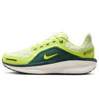 Nike Winflo 11 GORE-TEX (FQ1359-300)