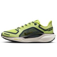Nike Pegasus 41 GORE-TEX (FQ1357-300)