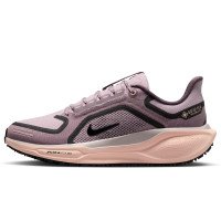 Nike Pegasus 41 GORE-TEX (FQ1357-004)