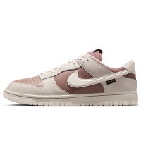 Nike Dunk Low GORE-TEX (HQ2053-002)