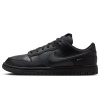 Nike Dunk Low GORE-TEX (HQ2053-001)