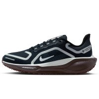 Nike Pegasus 41 GORE-TEX (FQ1357-401)