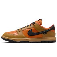 Nike Dunk Low GORE-TEX (HQ2053-700)