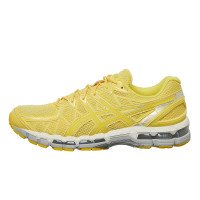 Asics Gel-Kayano 20 (1203A758-750)