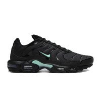 Nike Air Max Plus (DM0032-029)