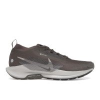 Nike Pegasus Trail 5 Gtx (FQ0908-012)