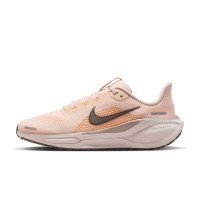 Nike Pegasus 41 (FN5041-803)