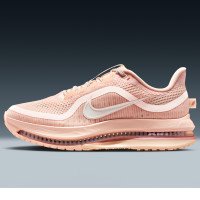 Nike Pegasus Premium (HQ2593-801)