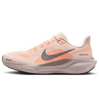 Nike Pegasus 41 (FD2723-802)
