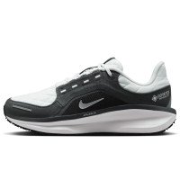 Nike Winflo 11 GORE-TEX (FQ1359-004)