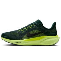 Nike Pegasus 41 (FD2723-302)