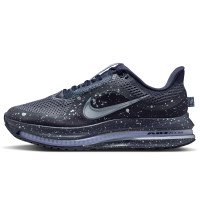 Nike Pegasus Premium SE (IH0861-500)