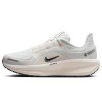 Nike Winflo 11 GORE-TEX (FQ1359-100)