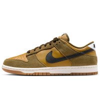 Nike Dunk Low Retro SE (IB6399-300)
