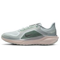 Nike Pegasus 41 GORE-TEX (FQ1356-007)