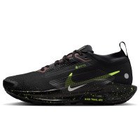 Nike Pegasus Trail 5 GORE-TEX (FQ0912-009)