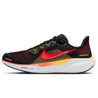 Nike PEGASUS 41 (FD2722-016)