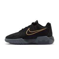 Nike LeBron Witness 9 (HV2270-004)