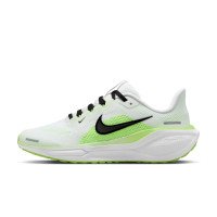 Nike Pegasus 41 (FN5041-111)