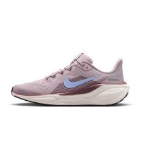 Nike Pegasus 41 (FN5041-604)