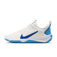 Nike Omni Multi-Court (DM9027-108)