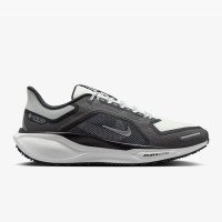 Nike Pegasus 41 GORE-TEX (FQ1356-002-10)