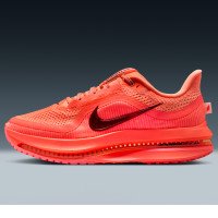 Nike Pegasus Premium (HQ2593-802)