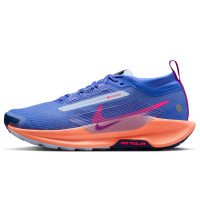 Nike Pegasus Trail 5 GORE-TEX (FQ0912-503)