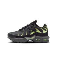 Nike Air Max Plus (FZ0023-044)