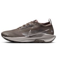 Nike Pegasus Trail 5 Gtx (FQ0908-012)