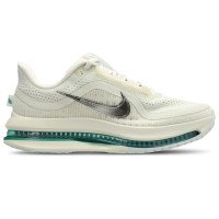 Nike Wmns Pegasus Premium (HQ2593-008)