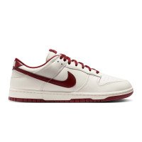 Nike Dunk Low Retro (HF5441-008)
