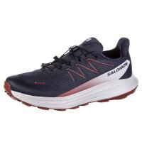 Salomon ALPHARIDE 2 GTX (L49181600)