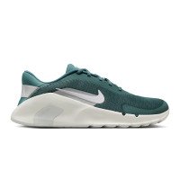 Nike FLEX TRAIN (HV9972-302)
