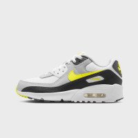 Nike Air Max 90 (GS) (IQ0098100)