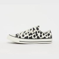 Converse Chuck Taylor All Star (GS) (A19752C)