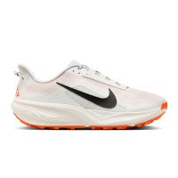 Nike ACG Pegasus (HV8116-103)