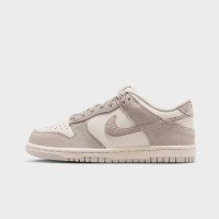 Nike Dunk Low (GS) (IB5691101)