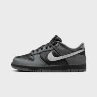 Nike Dunk Low (GS) (IM6028010)