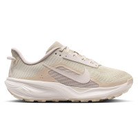 Nike ACG Pegasus (HV8121-200)